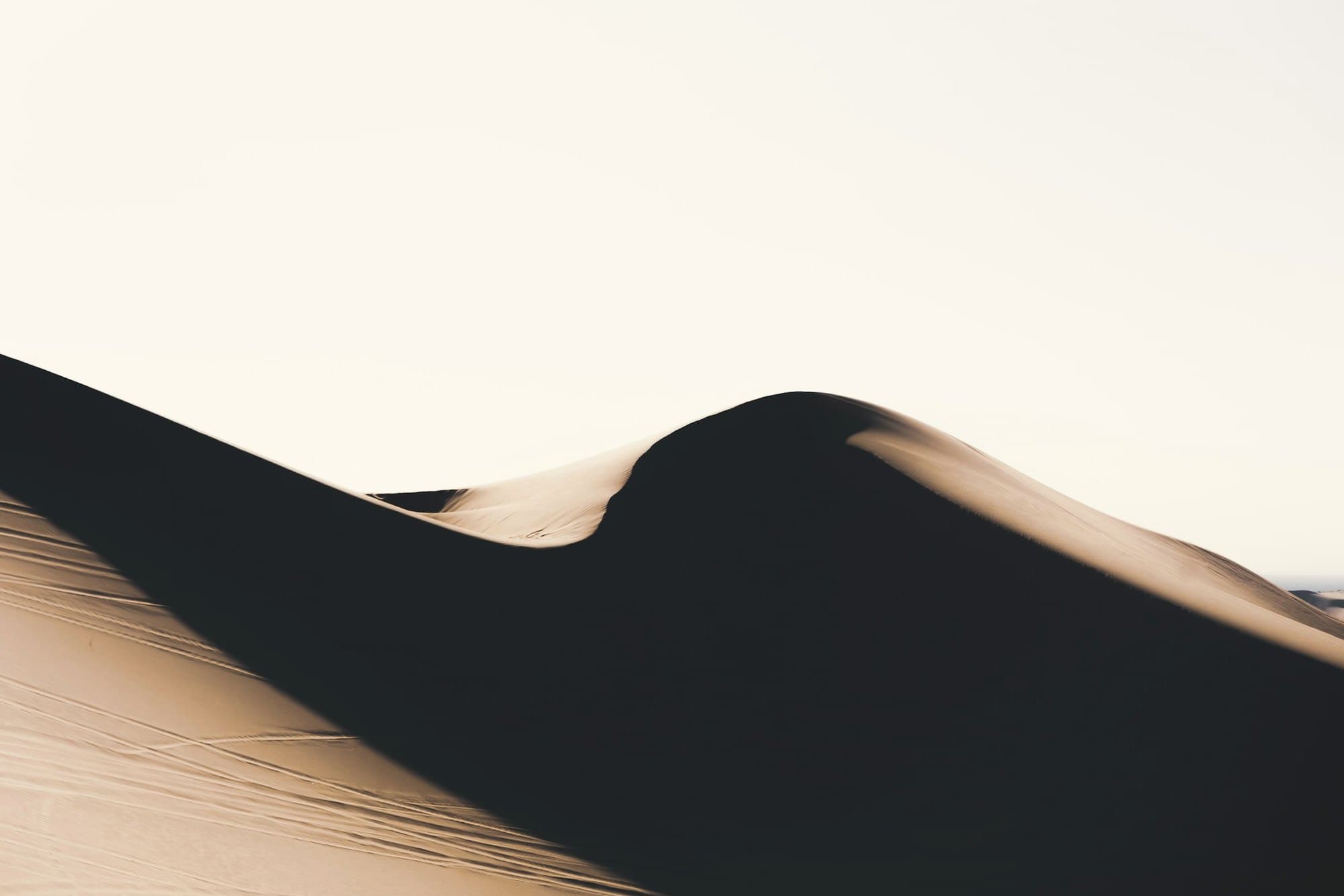 The curve of a sand dune in the Empty Quarter